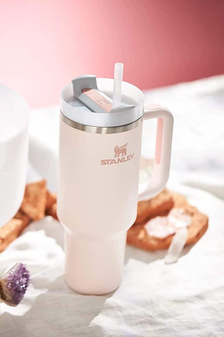 The Stanley Tumbler, the New Must-Have TikTok Trend (2023)