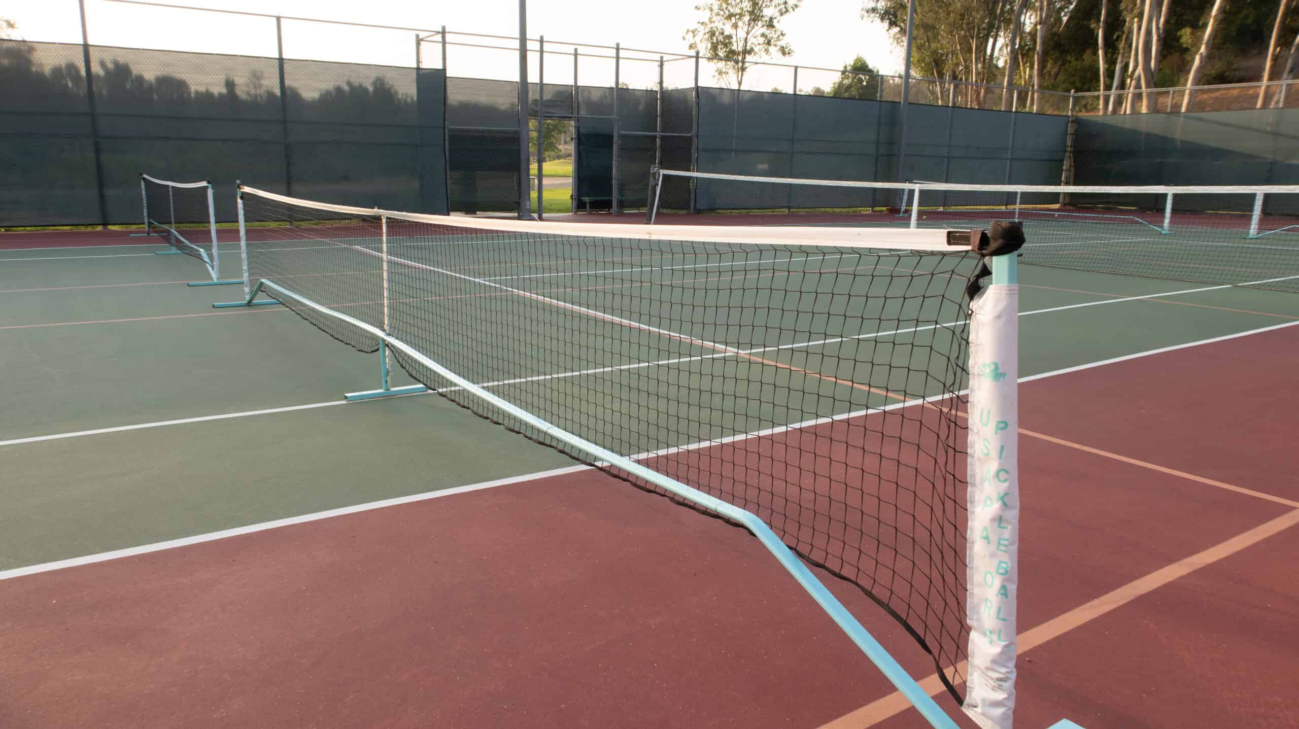 The Best Portable Pickleball Net: Ranked and Reviewed (2024)