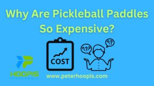 why are pickleball paddles so expensive