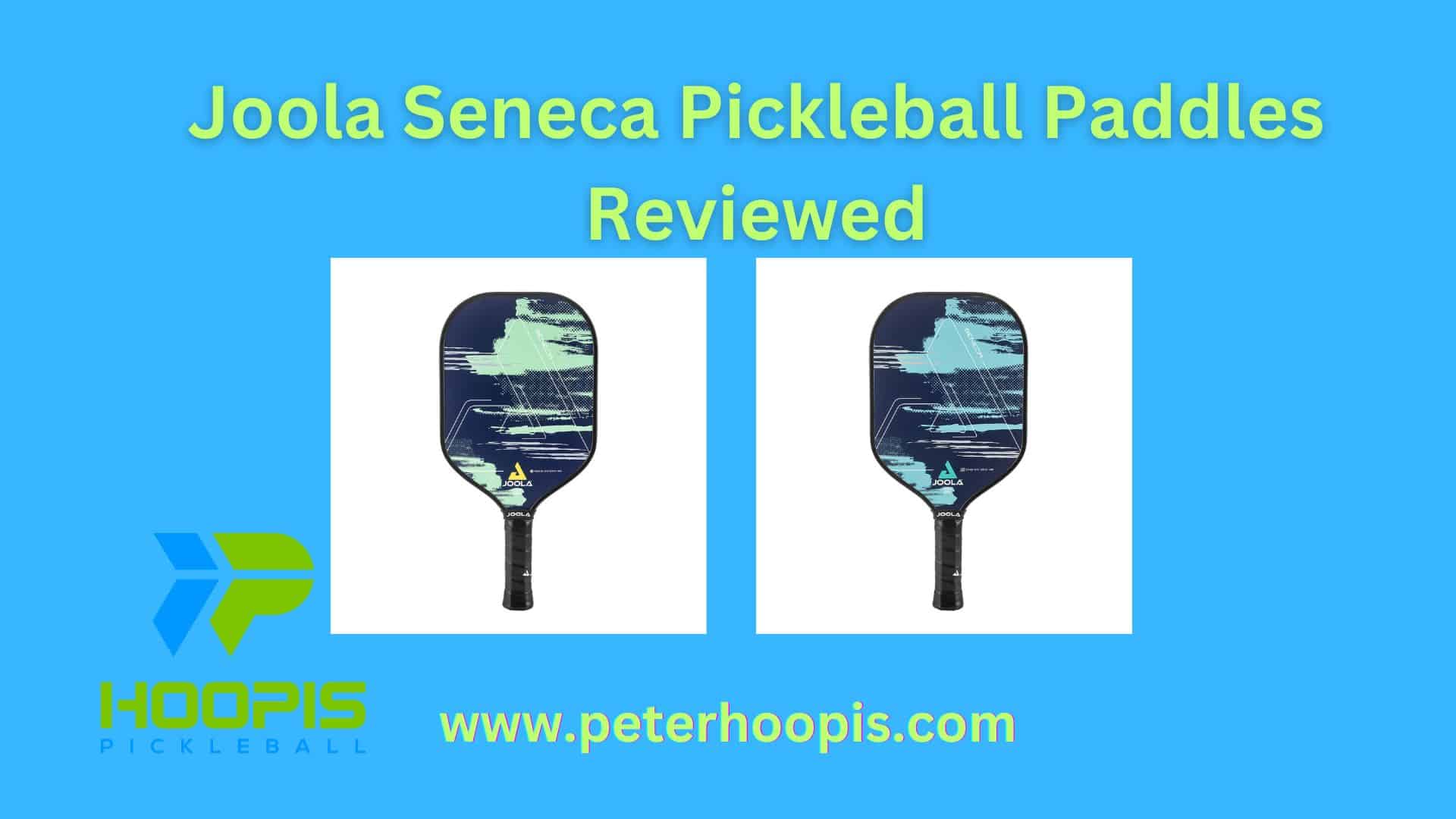 Joola Seneca Pickleball Paddles Reviewed (2024)