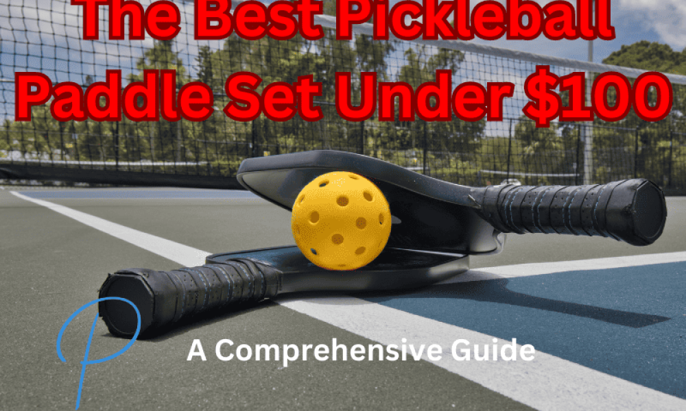 best pickleball paddle set